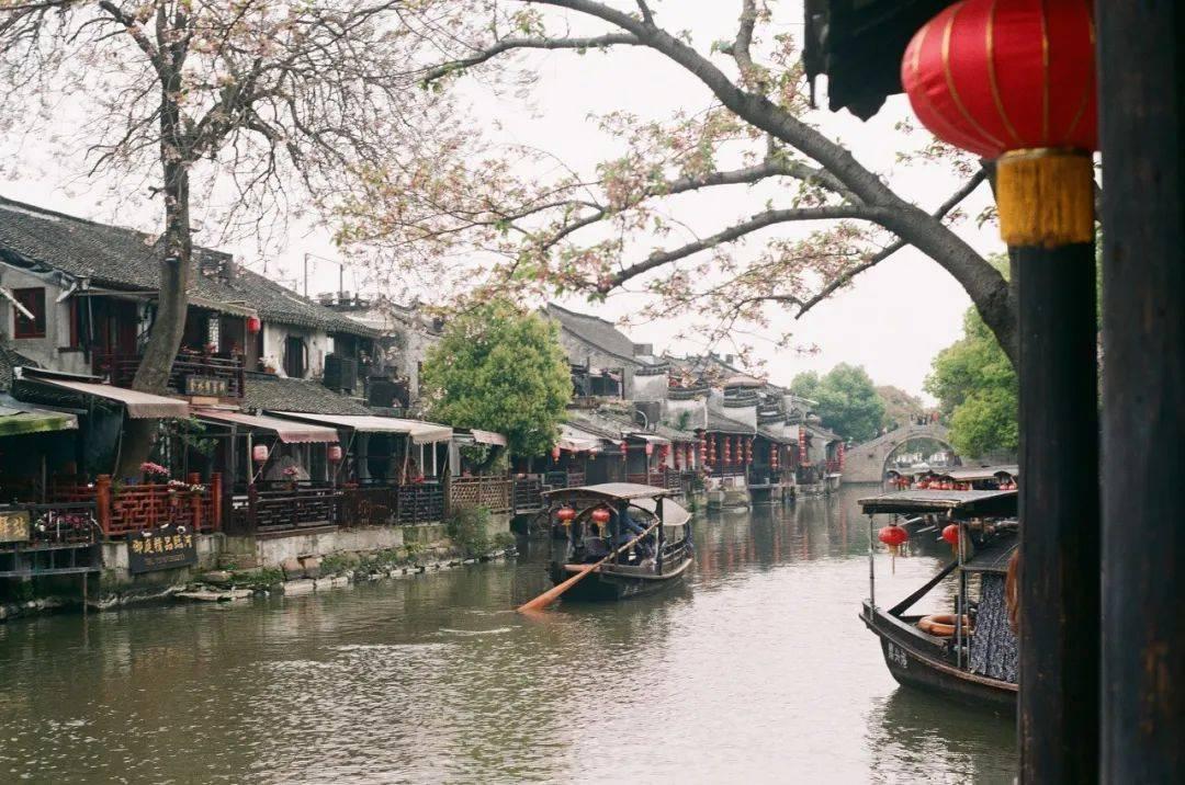 僵尸敲方块